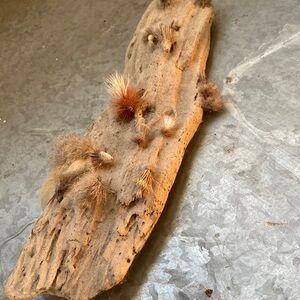 Driftwood and flies
